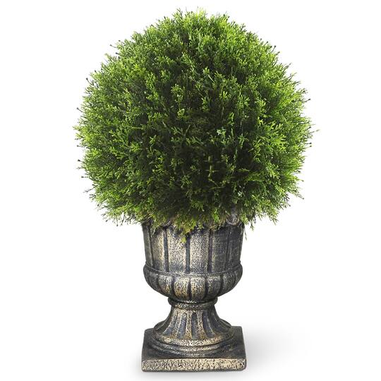 Find 27 Upright Juniper Ball Topiary Tree In Decorative Urn At